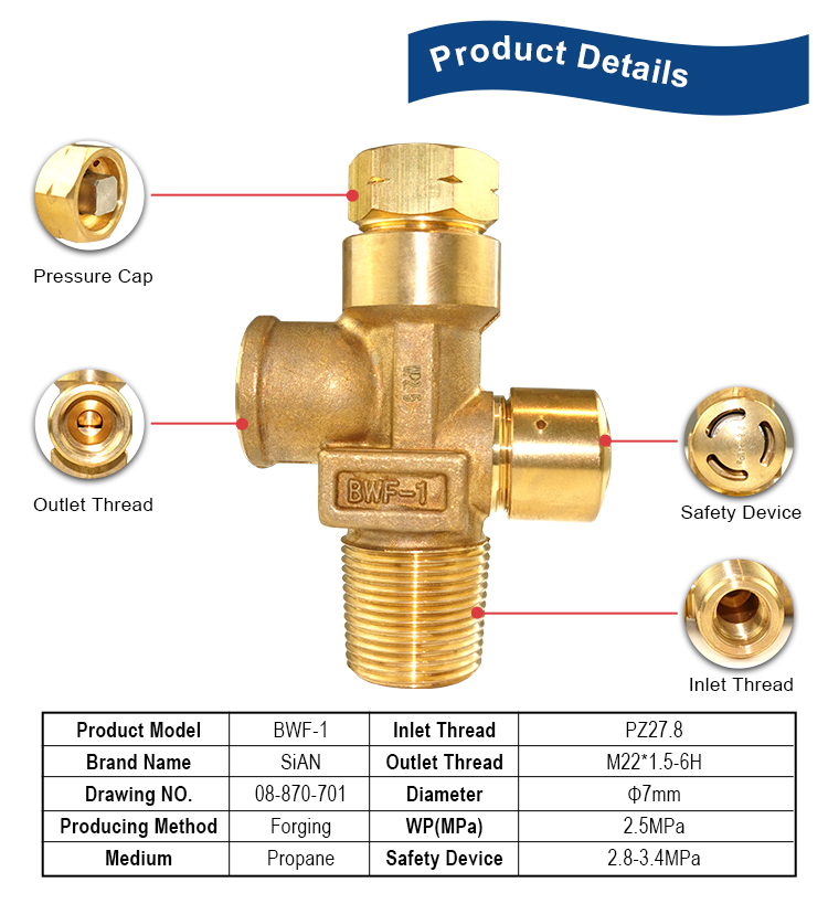 BWF-1 Propane valve (2)