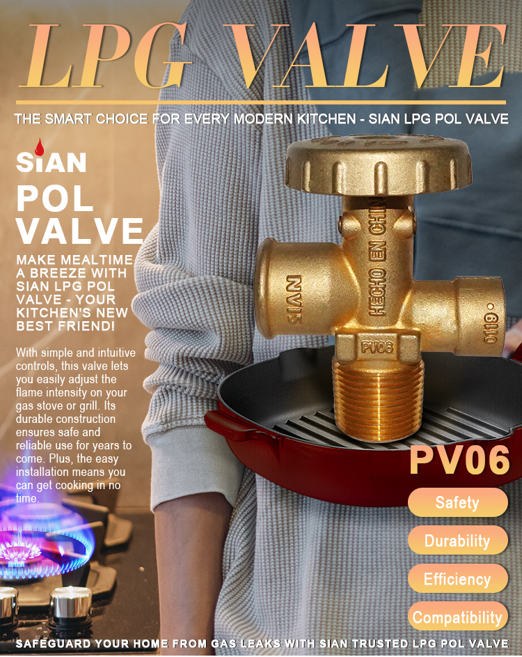 LPG Gas Cylinder POL Valve (1)