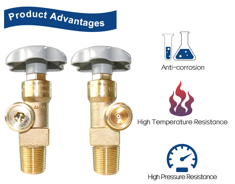 PRV-GV6 N2 Ar He Gas Cylinder Valve (10)