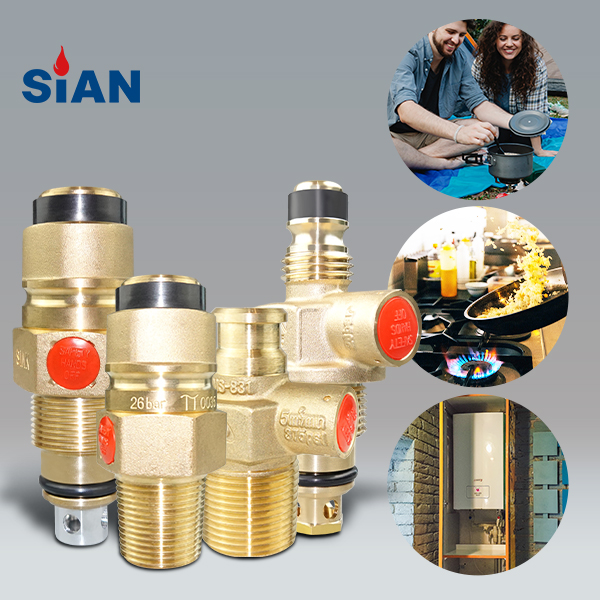lpg snap on valve -1